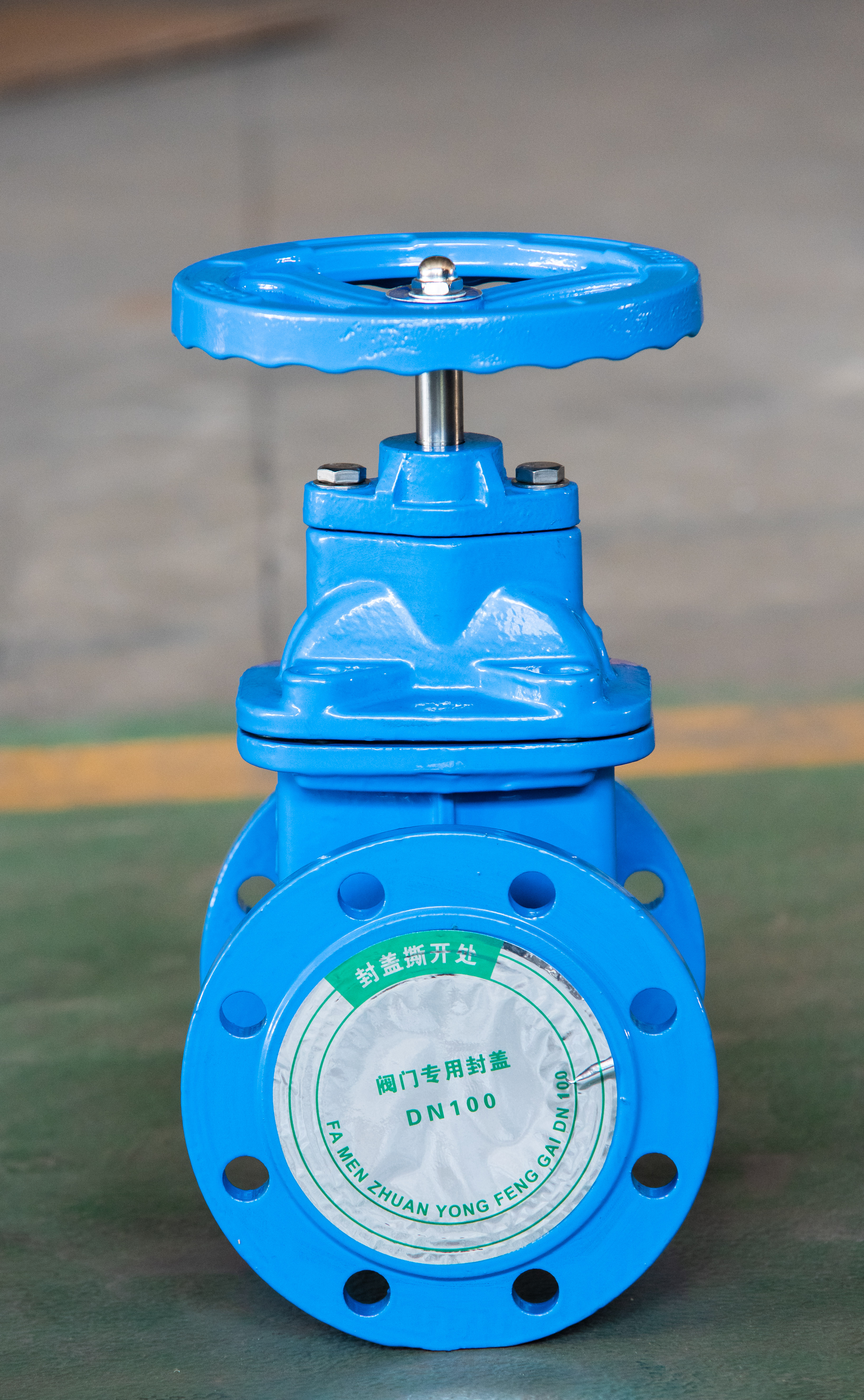 法兰软密封闸阀